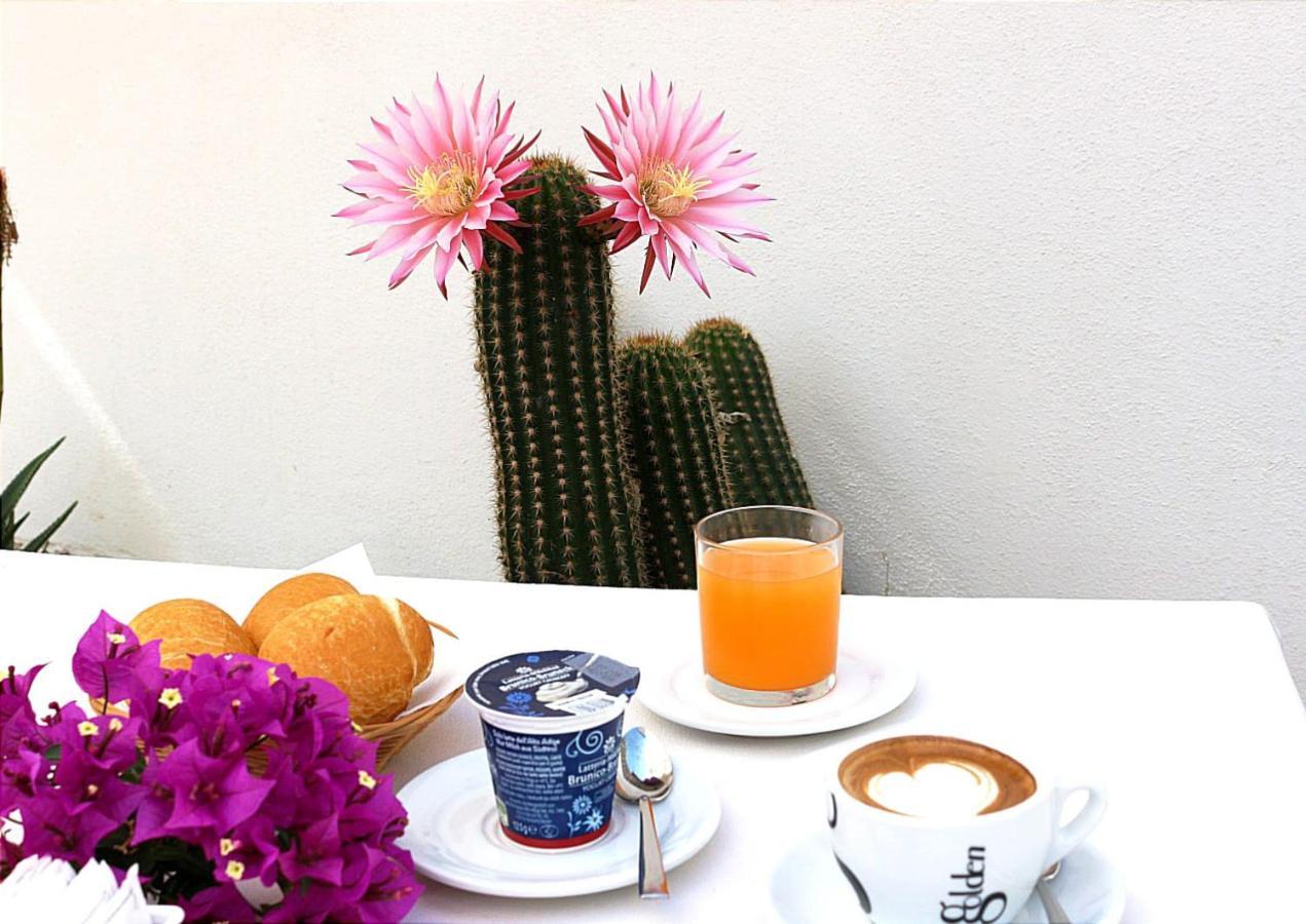 Hotel Rosa Dei Venti 카스텔사르도 외부 사진
